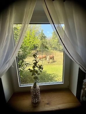 A window with a view of a fenced outdoor area, a wooden shelf with a decorative vase, and sheer curtains.