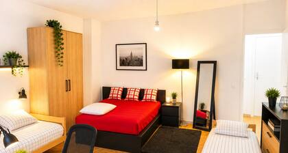Terrific 1 Large bedroom apartment in charming Carouge near local spots