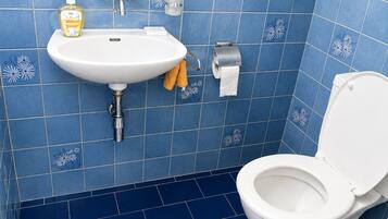 Shower, towels, soap, toilet paper