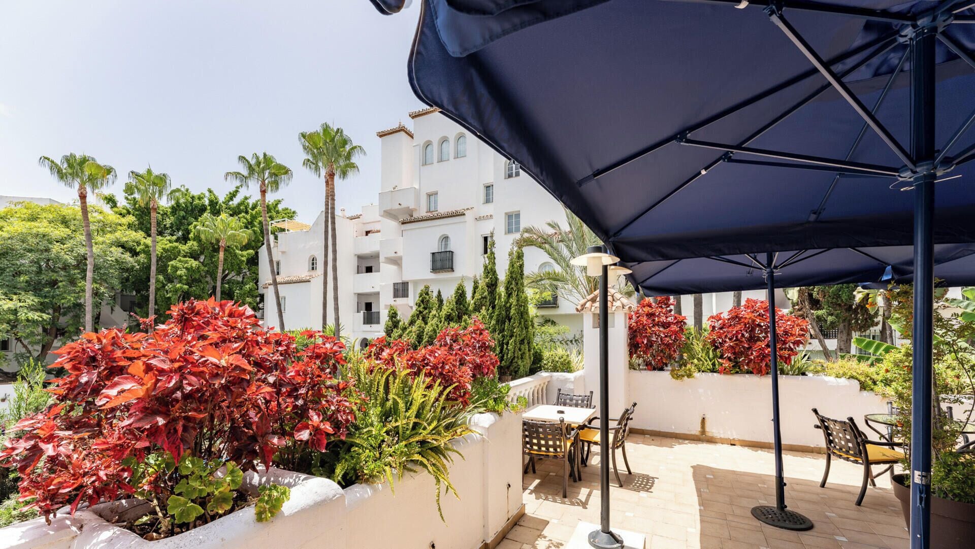 Un espace extérieur aménagé en terrasse, avec une table et des chaises, entouré de feuillage rouge et de palmiers, et un bâtiment en arrière-plan.