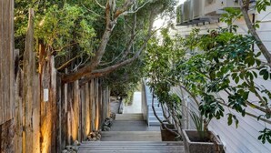 A wooden pathway flanked by trees and plants, leading to a building entrance. - Jacuzzi, Large Villa, 2 Pools, Camps Bay -Two Views (Cape Town)