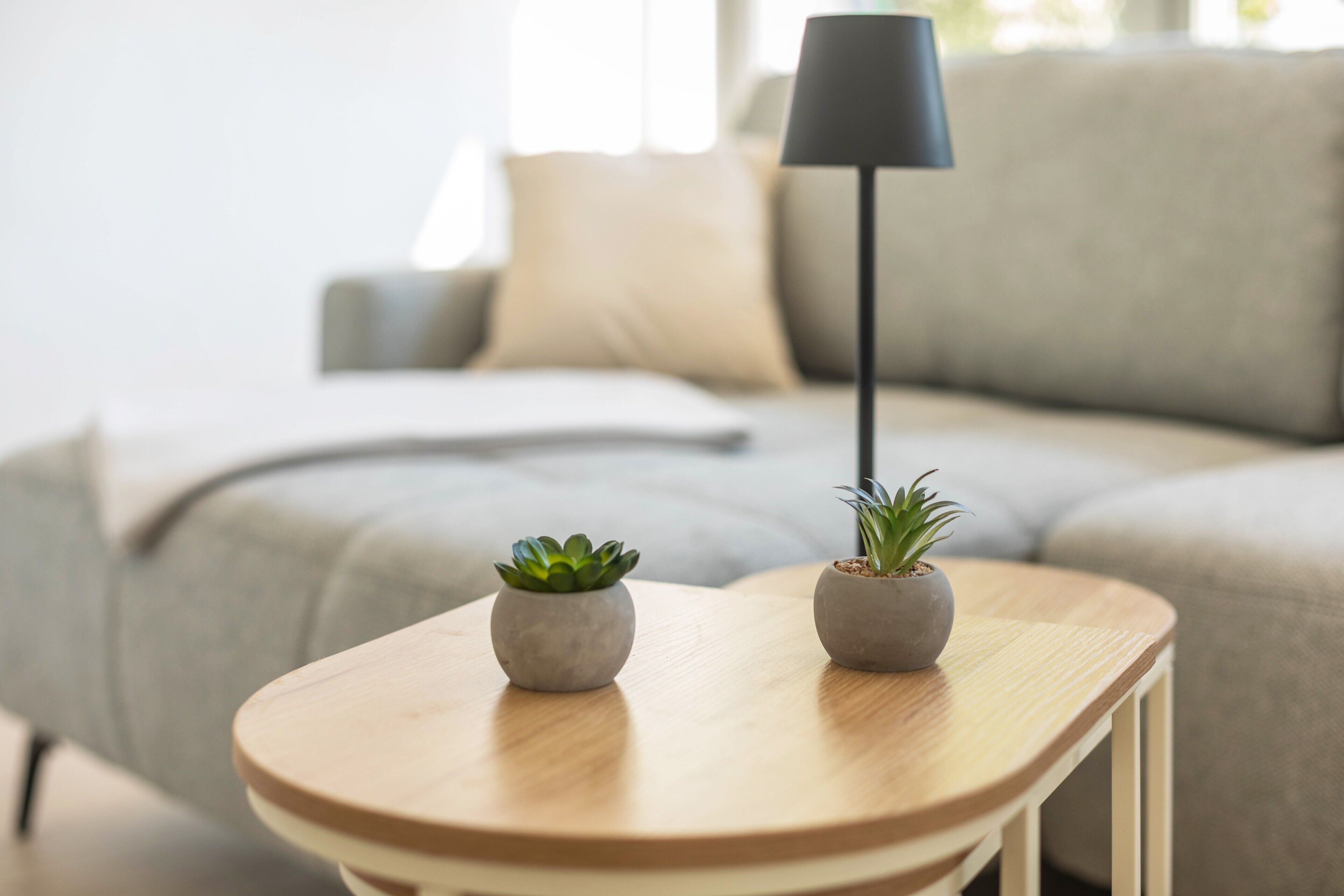 Ein Holznachttisch mit zwei Topfpflanzen und einer schwarzen Stehlampe in einem Wohnzimmer.