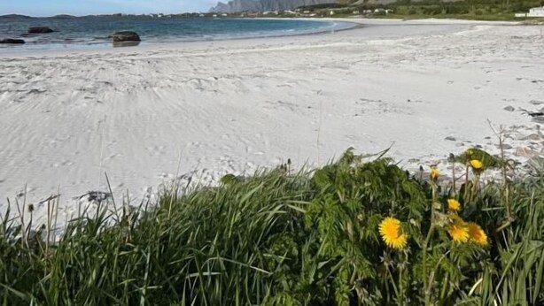 A beach with clear skies, a sandy shore, and distant mountains. - Lofoten Bed & Breakfast (Moskenes)