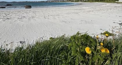 Lofoten Bed & Breakfast