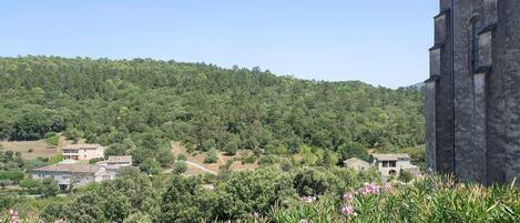 A rural landscape with a stone building, surrounded by greenery and a hill in the background.