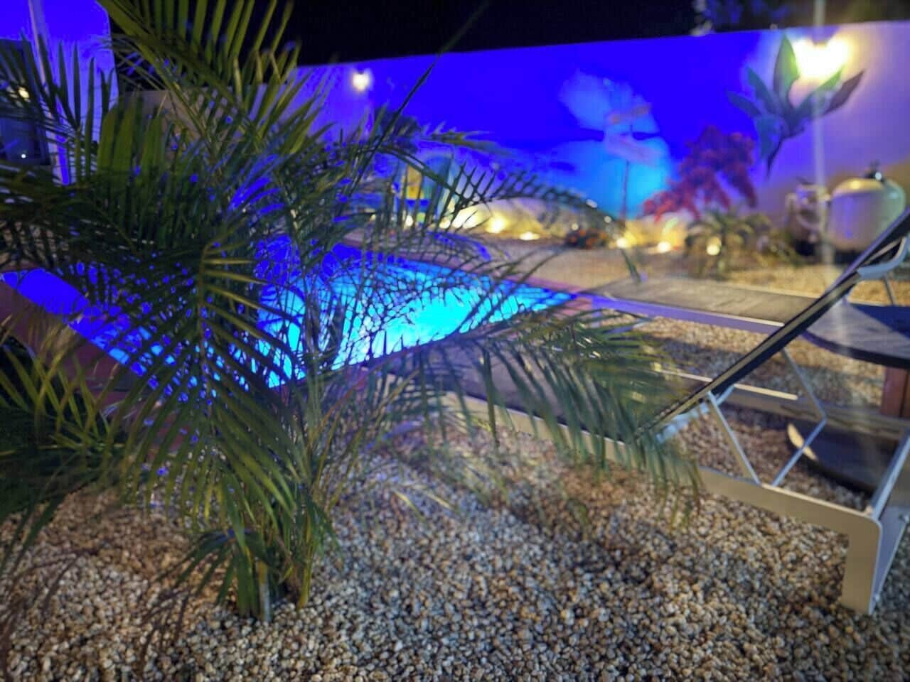 Un espace piscine intérieure agrémenté d’un palmier, de galets et d’une chaise longue.