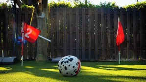 Ein Fußball auf einer grünen Rasenfläche mit zwei roten Fahnen und einem Holzzaun im Hintergrund.