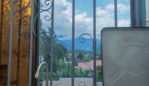 Una ventana con una reja metálica y un grifo de metal.