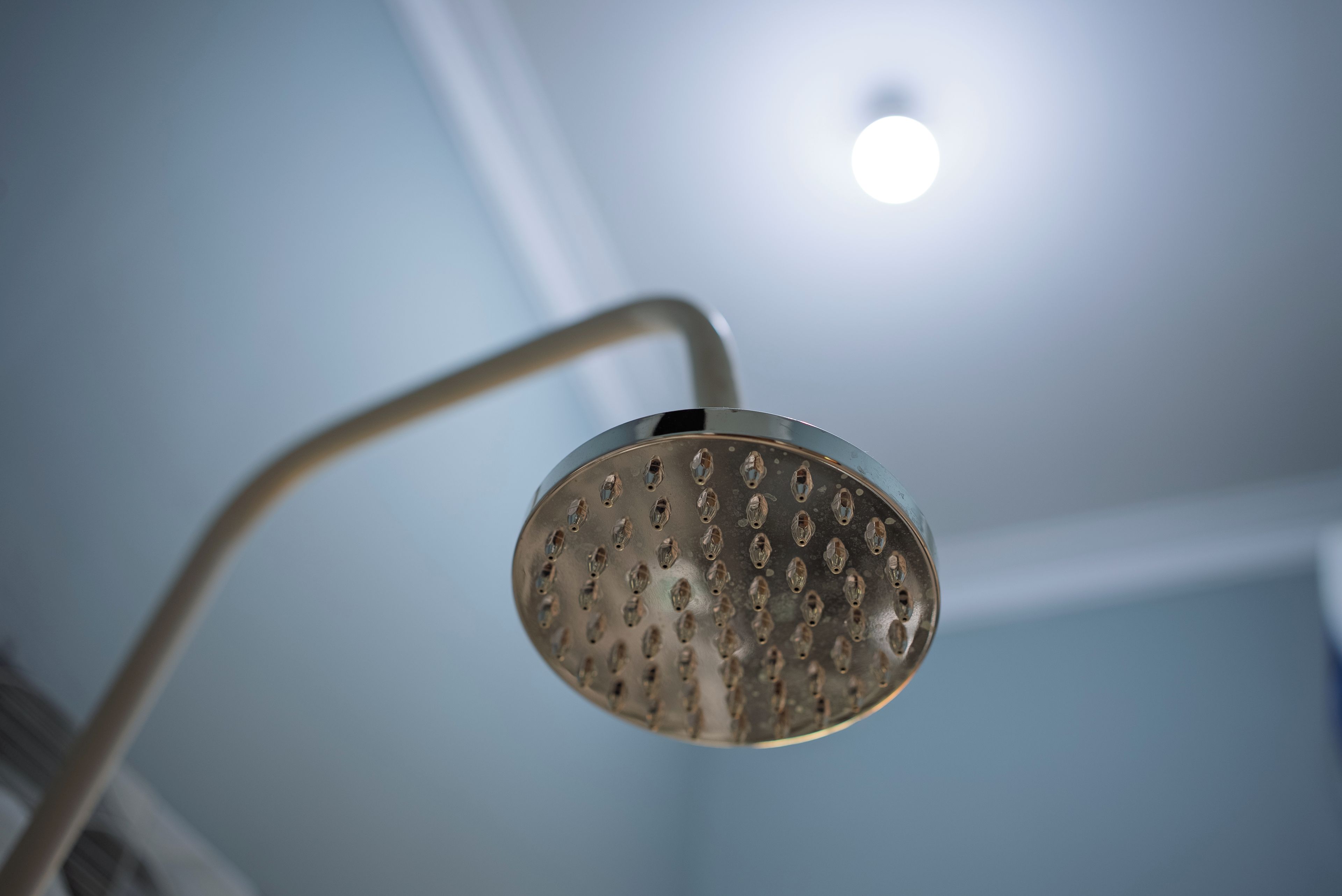 A showerhead with a curved handle, mounted on a wall.
