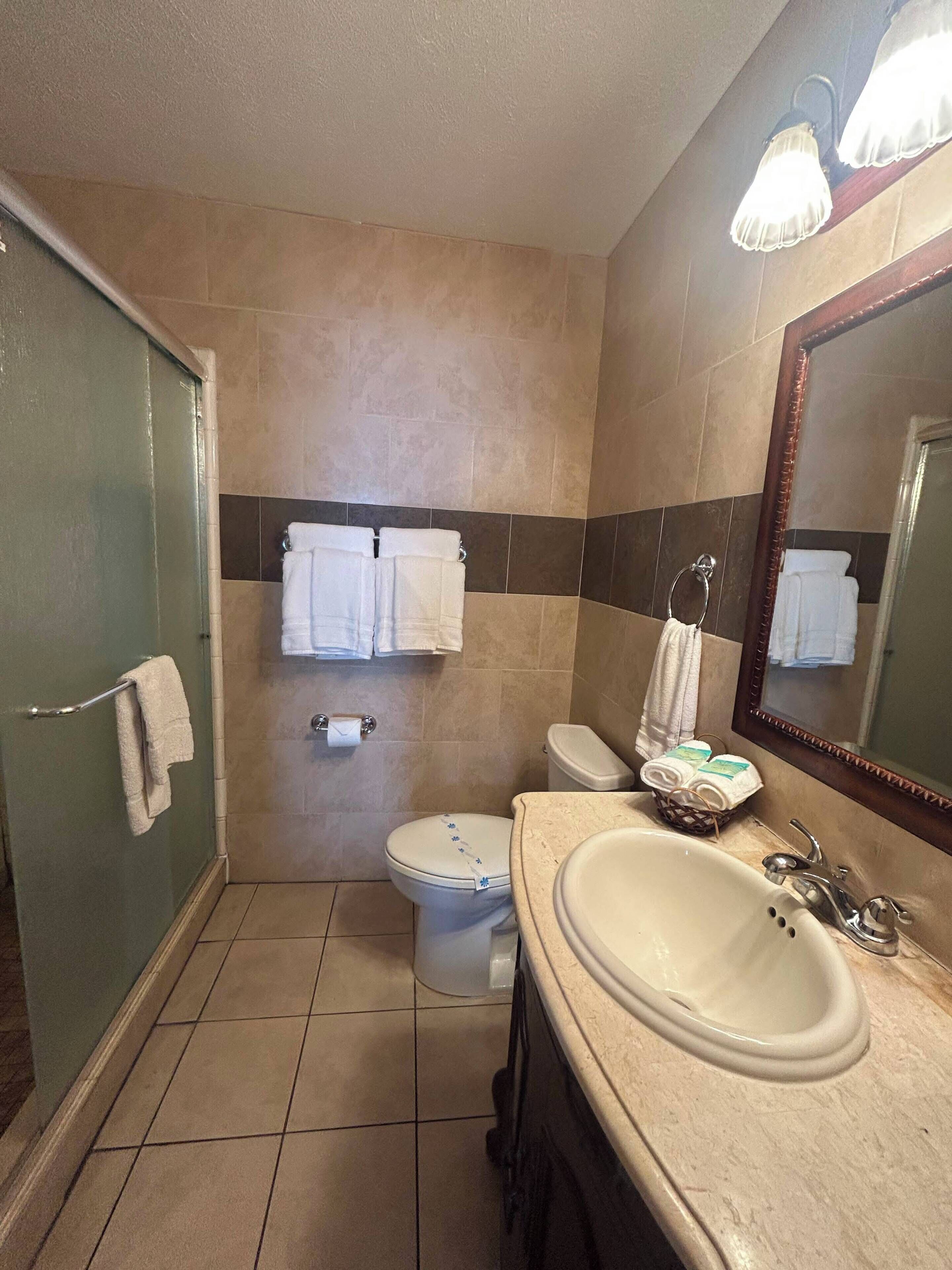 A bathroom with a shower, toilet, sink, and a mirror.