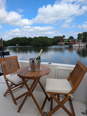 Outdoor dining - AJ‘s Yacht of Fun
Two bedroom luxury 35 foot Yacht (Clearwater)