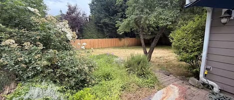 A garden area with a stone bench, a wooden fence, and various plants.