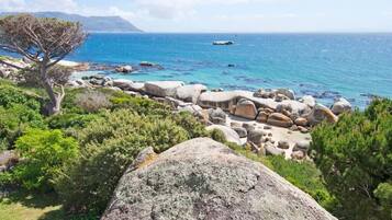 A coastal landscape with large rocks, greenery, and a view of the sea.