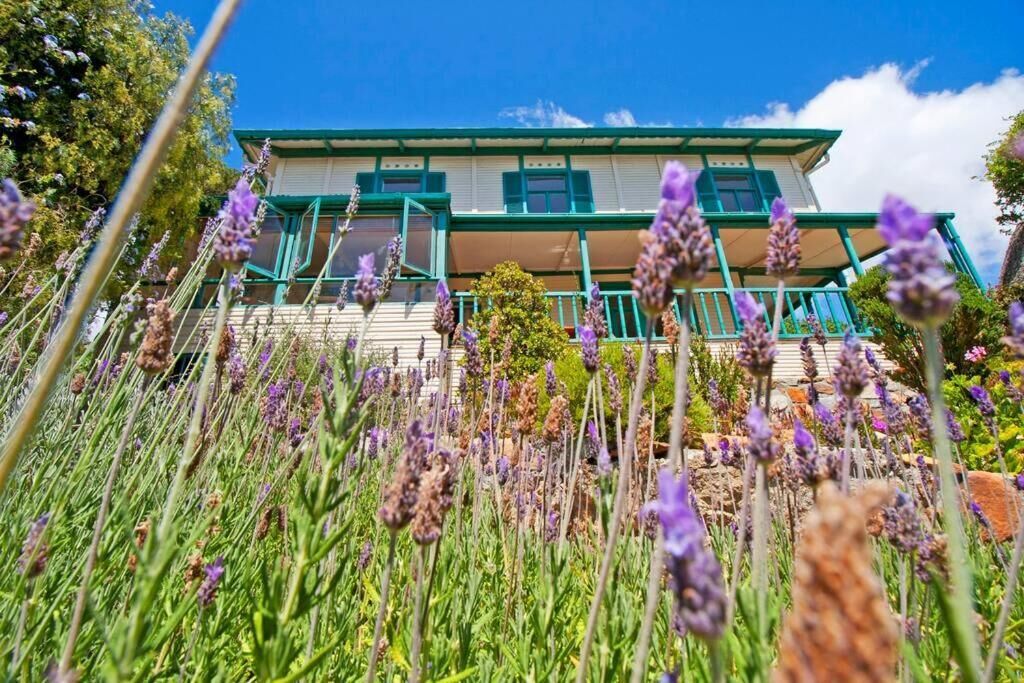 A two-story house with a balcony, surrounded by a field of lavender.
