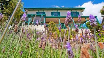 A two-story house with a balcony, surrounded by a field of lavender.