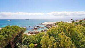 A coastal landscape with rocky terrain, dense greenery, and a clear view of the sea. - Stunning Boulders Beach house  (Simons Town, Cape Town)