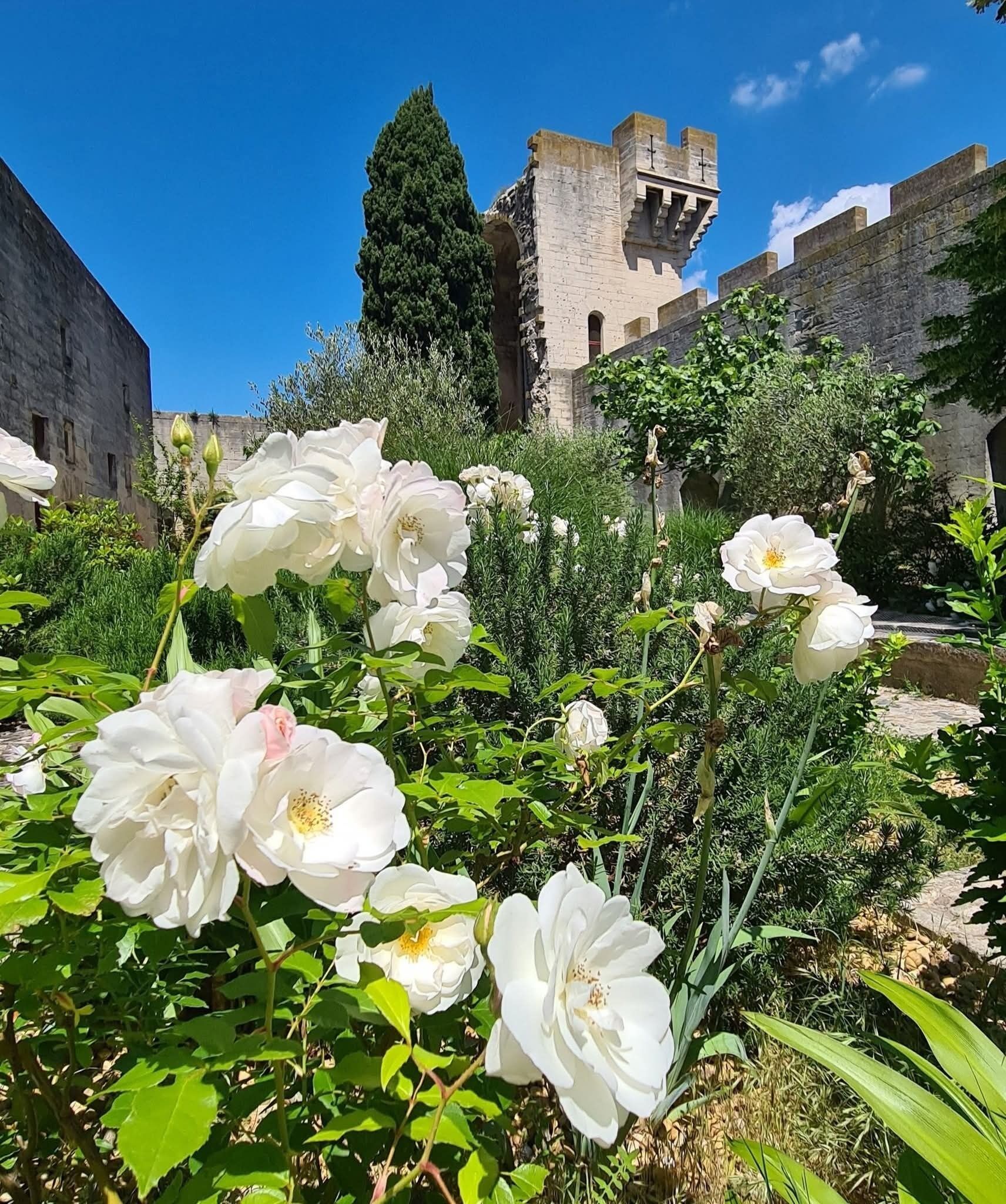 Un jardín con flores blancas y un edificio de piedra histórico al fondo.