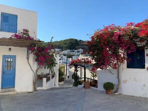 Eine enge Straße mit weißen Gebäuden, blauen Türen und rosa Bougainvilleenblüten.