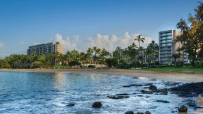 A beachfront hotel with multiple buildings, palm trees, and a sandy beach. - Beachfront Kaua'i Escape with Ocean Views (Lihue)