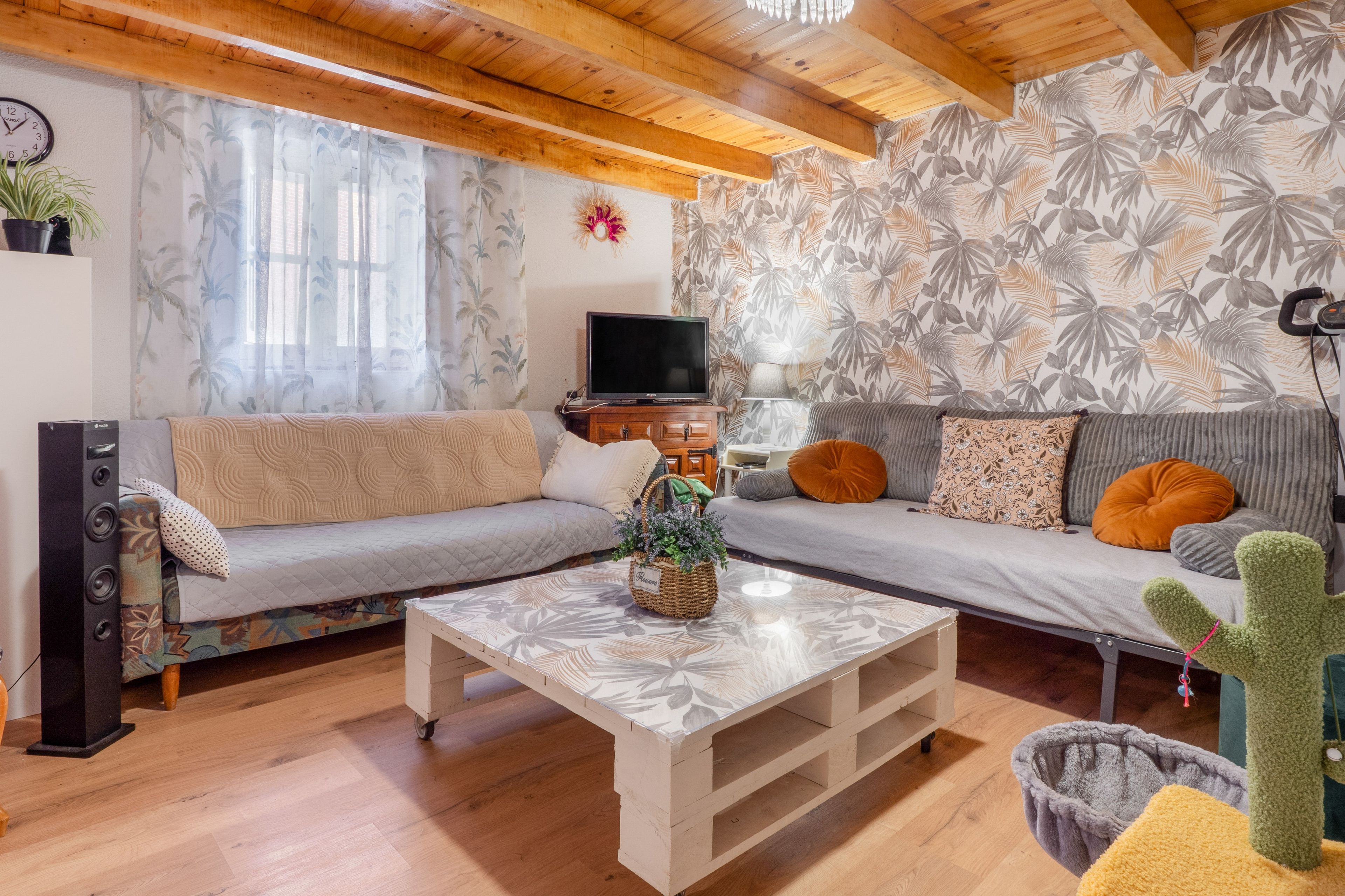 Una sala de estar con un sofá, una mesa de centro, un televisor y un cactus.