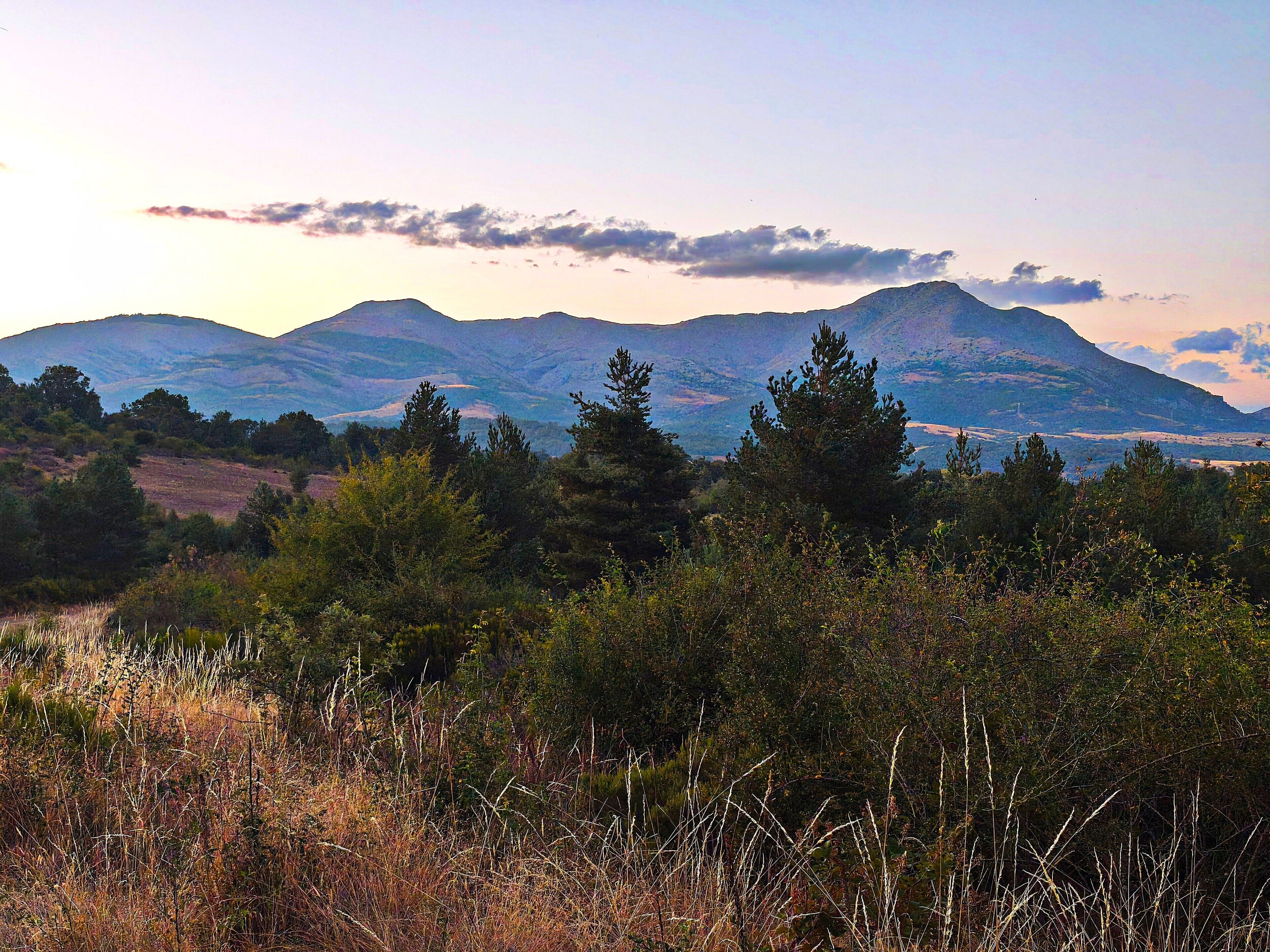 Eine gebirgige Landschaft mit dichtem Wald im Vordergrund und blauem Himmel.