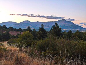 A mountainous landscape with dense forest in the foreground and a clear sky. - Casa Picos de Europa, Riaño: Rural House with Wi-Fi in a Natural Setting (Valle de las Casas)