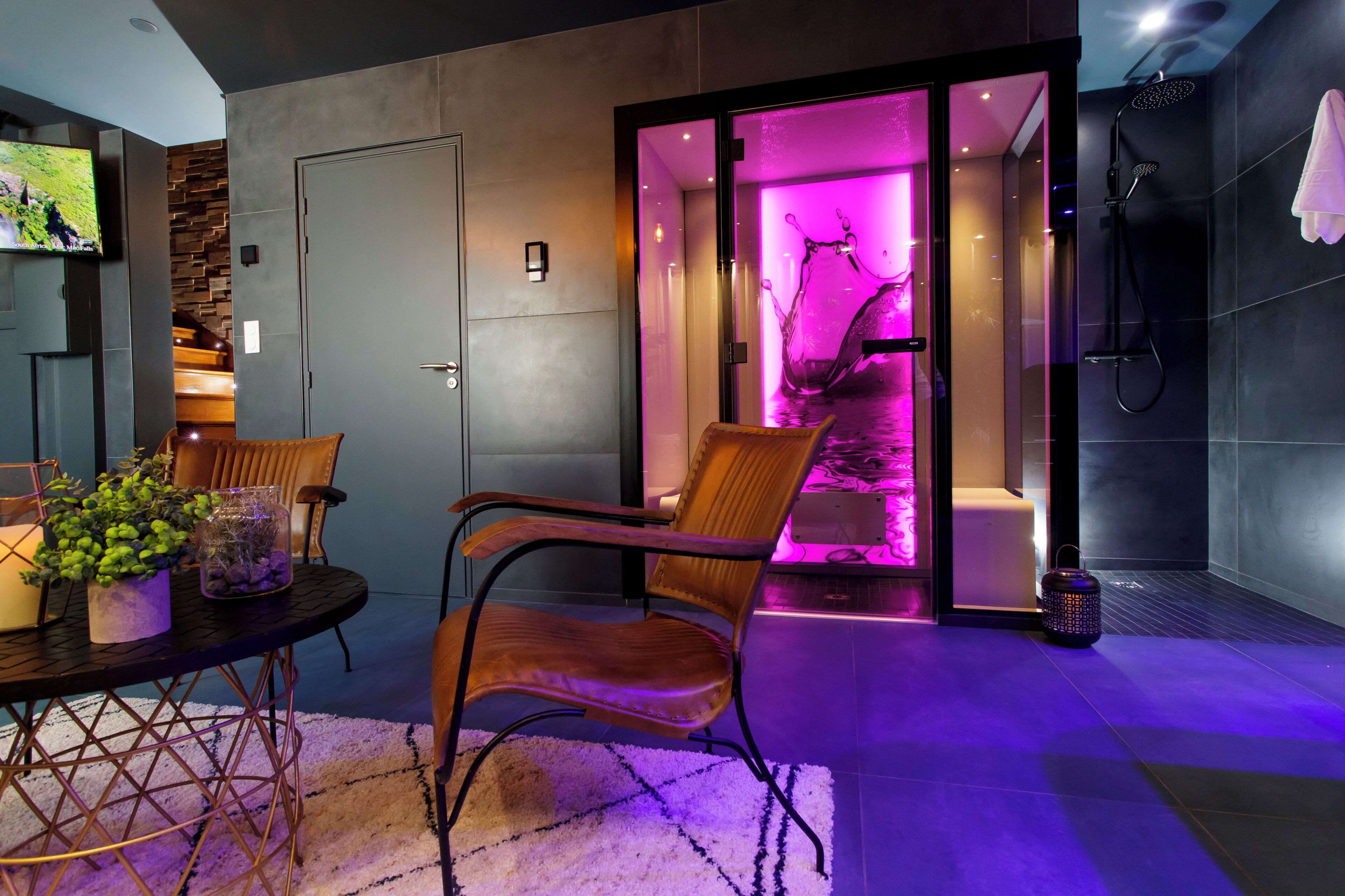 A modern interior with a seating area, a television, and a glass door leading to a bathroom with a purple-lit shower area.