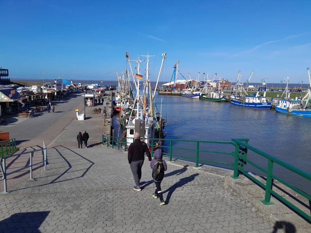 A waterfront promenade with boats docked, a pedestrian walkway, and a clear sky.