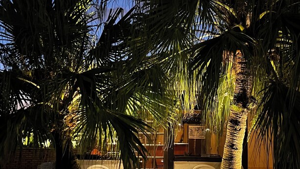 Un espacio al aire libre de noche con palmeras, un muro de ladrillo y un edificio con entrada iluminada.