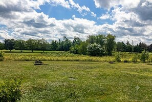 Un campo cubierto de hierba con árboles y cielo despejado.