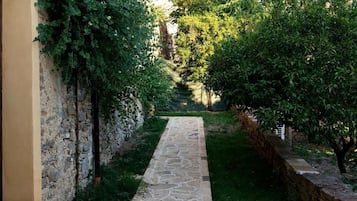 Terrain de l’hébergement