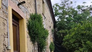 A stone pathway leading to a building with a wooden door and a yellow wall. - Giardino Siniscalchi Apartment 2 with Wi-Fi and Air Conditioning (Copersito)