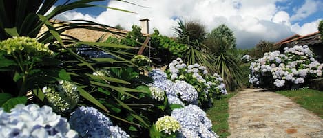 A garden pathway with hydrangea bushes and palm trees.