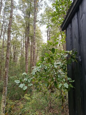 Ein bewaldetes Gebiet mit einer Holzhütte.