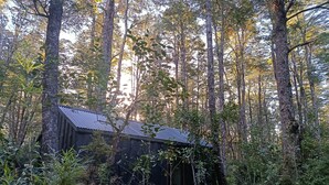 A rustic cabin surrounded by dense forest, with a wooden deck leading to the entrance.