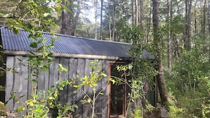 A rustic cabin with a metal roof, surrounded by dense forest.