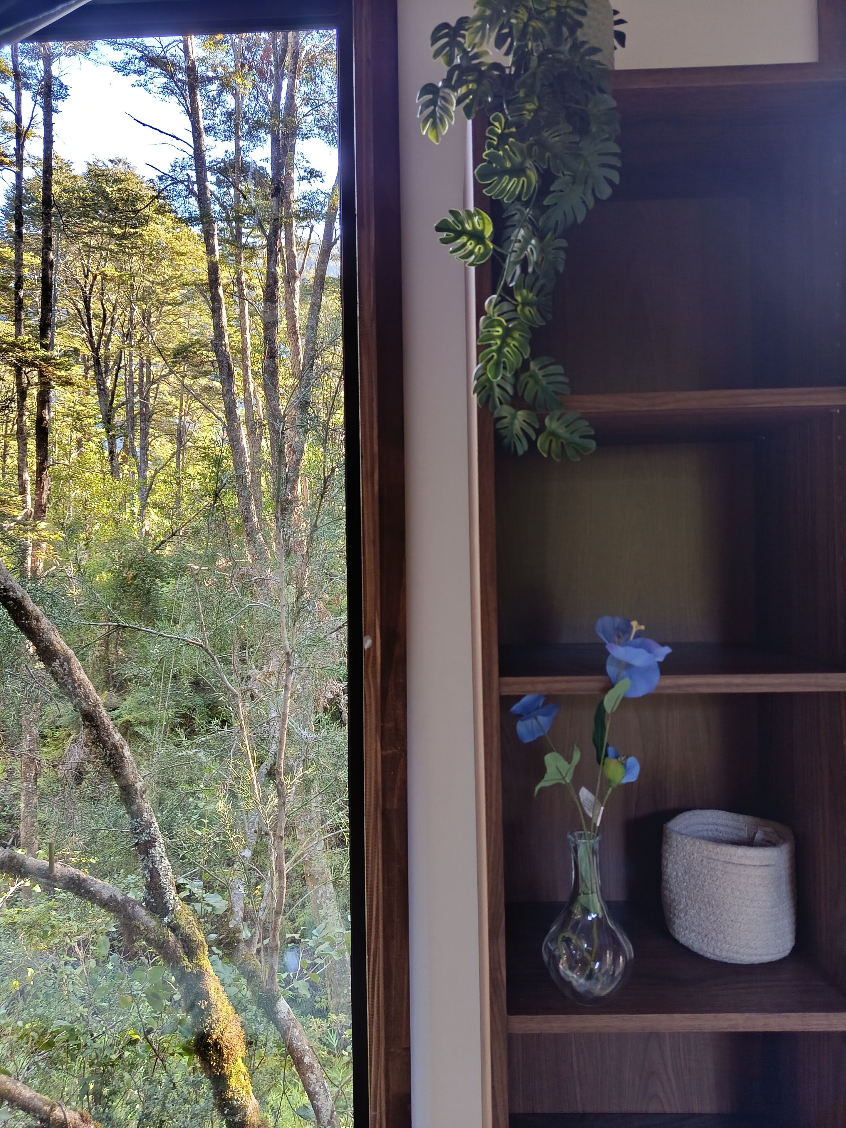 A room with a large window overlooking a forest, a wooden bookshelf, and a vase with flowers.