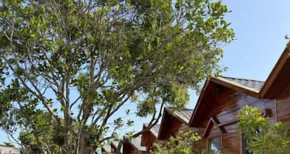 Cô Tô Homestay 368