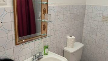 Douche, serviettes fournies, savon, papier de toilette