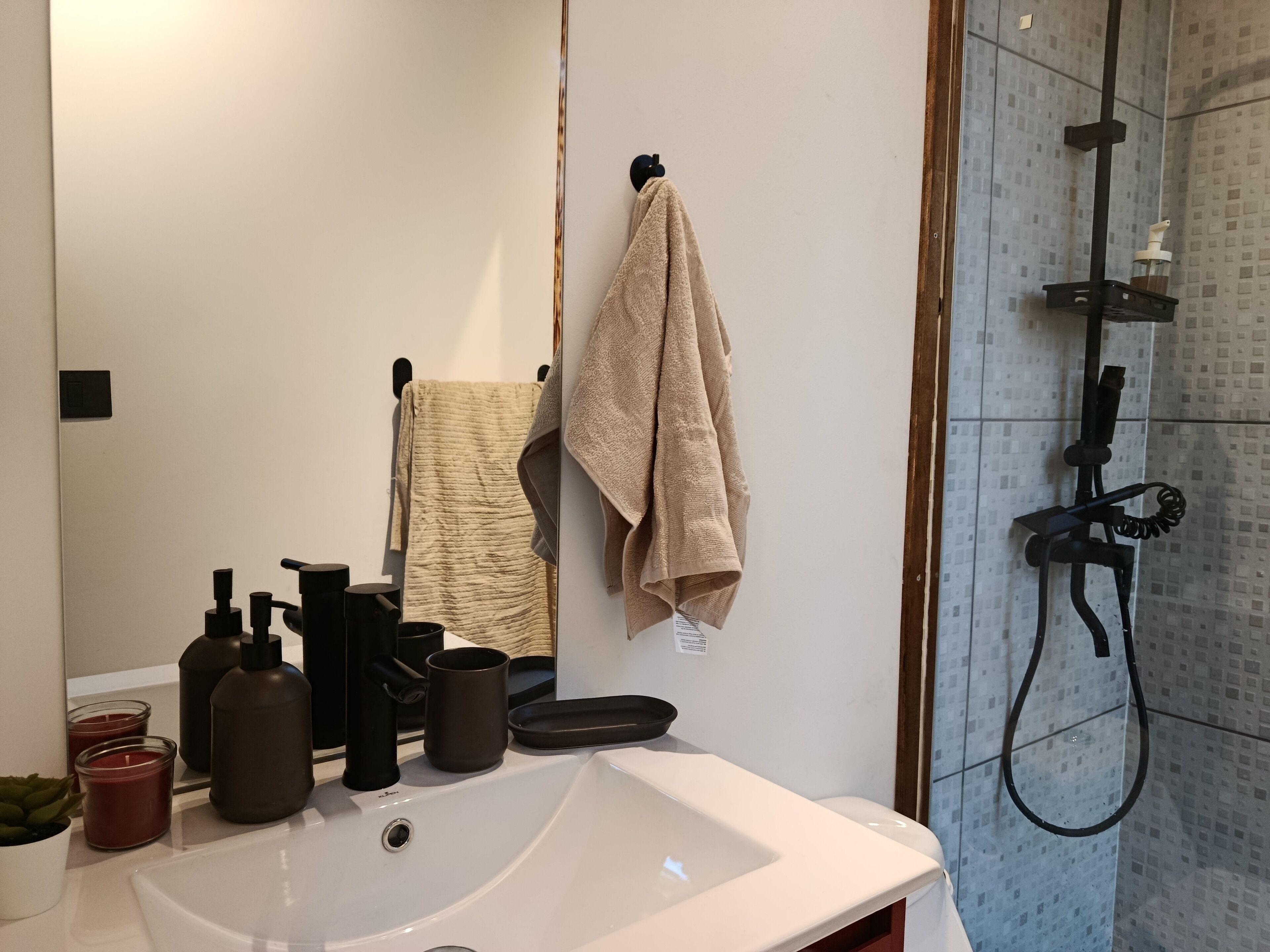 A bathroom with a white sink, a mirror, a towel rack with a towel, a shower with a handheld showerhead, and a small potted plant.