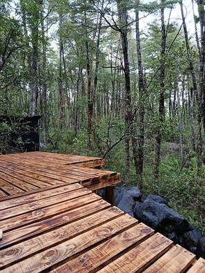 A wooden deck with a view of a forested area.