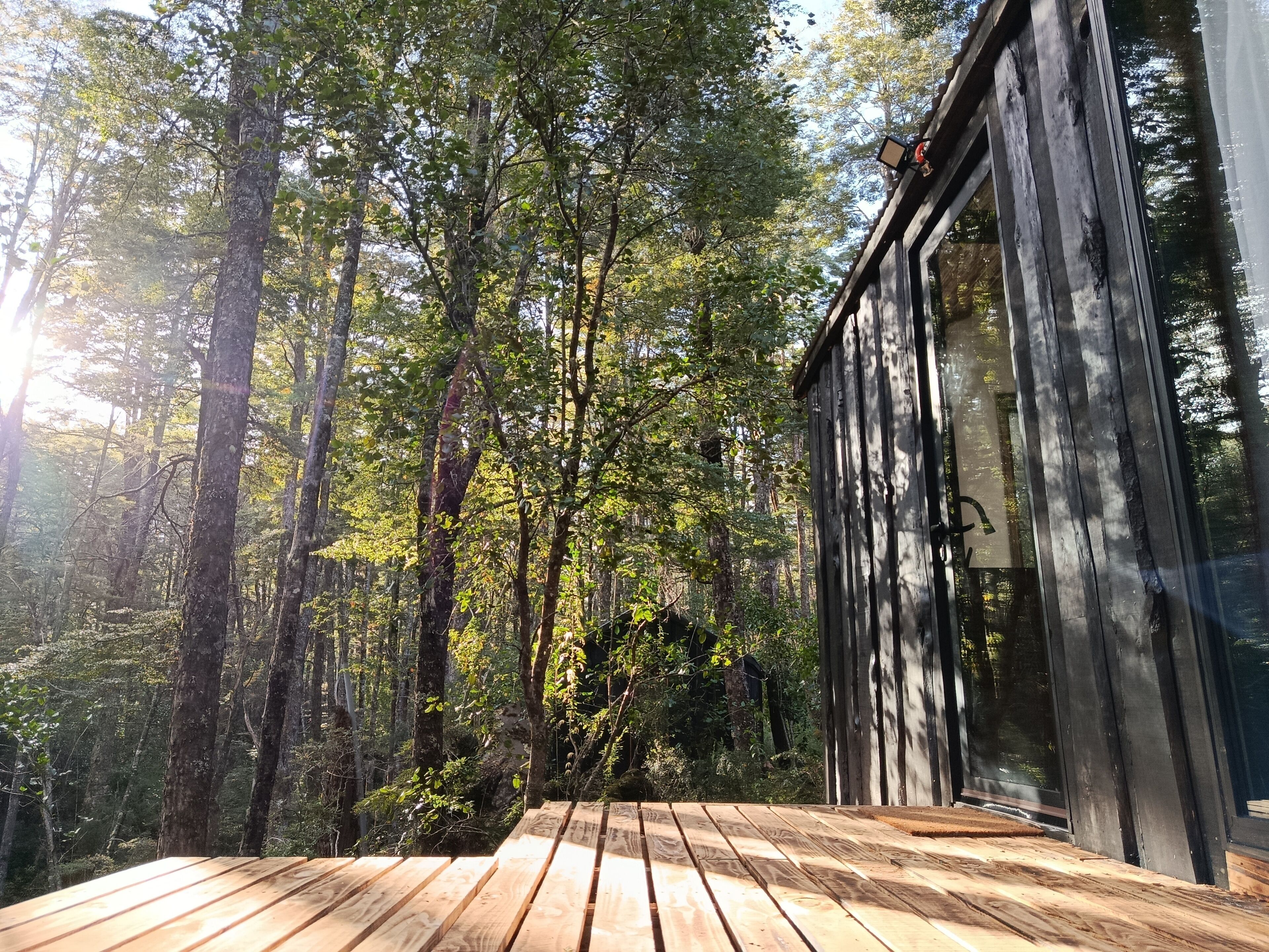 Une terrasse en bois, protégée par une paroi de verre, entourée d’une forêt.
