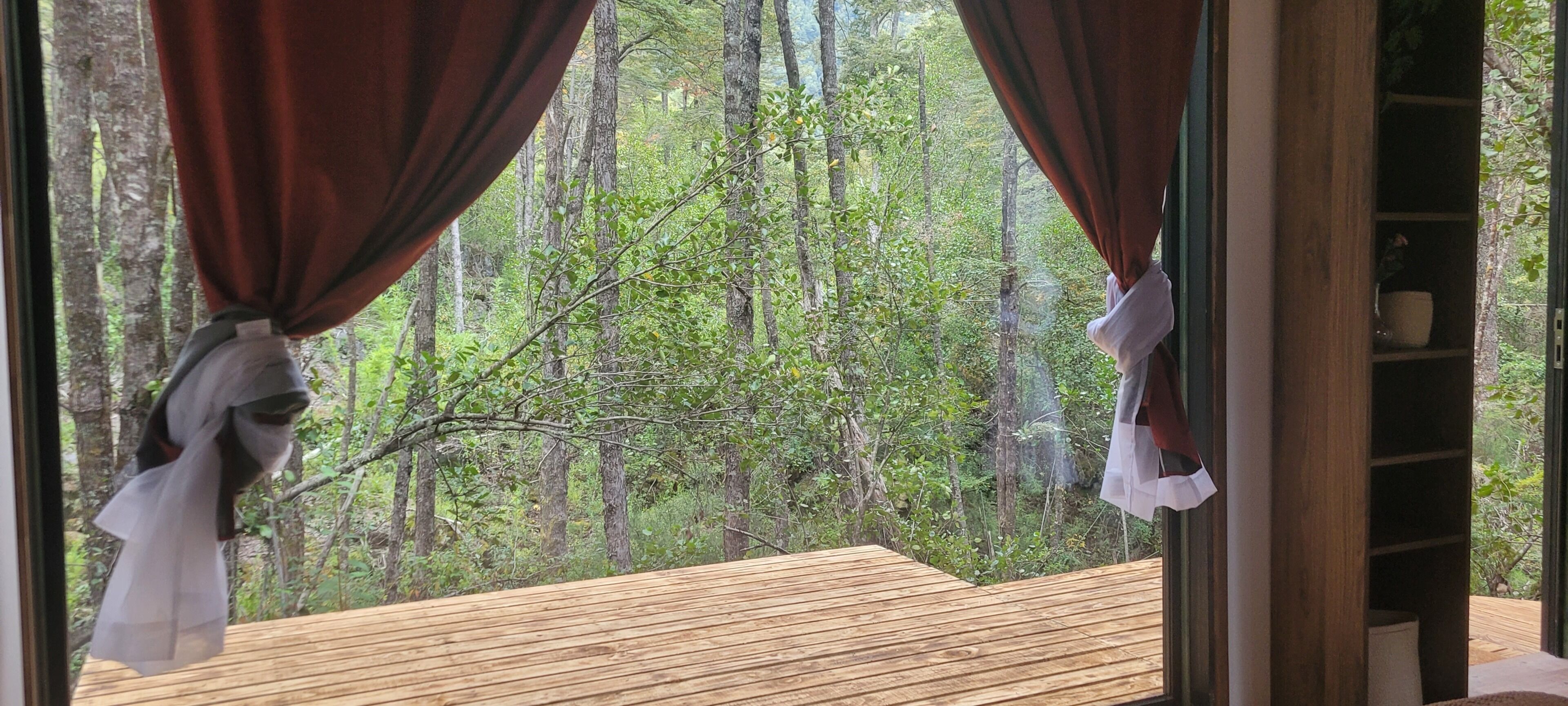 A room with a wooden deck and a view of a forest through curtains.