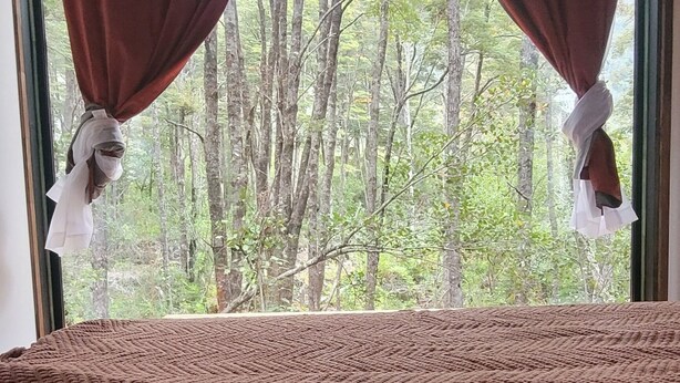 A bedroom with a large window, a bed with an orange bedspread, a brown pillow, and a view of trees outside.