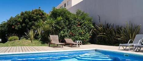 Una piscina con sillas de descanso, rodeada de follaje y un edificio moderno.