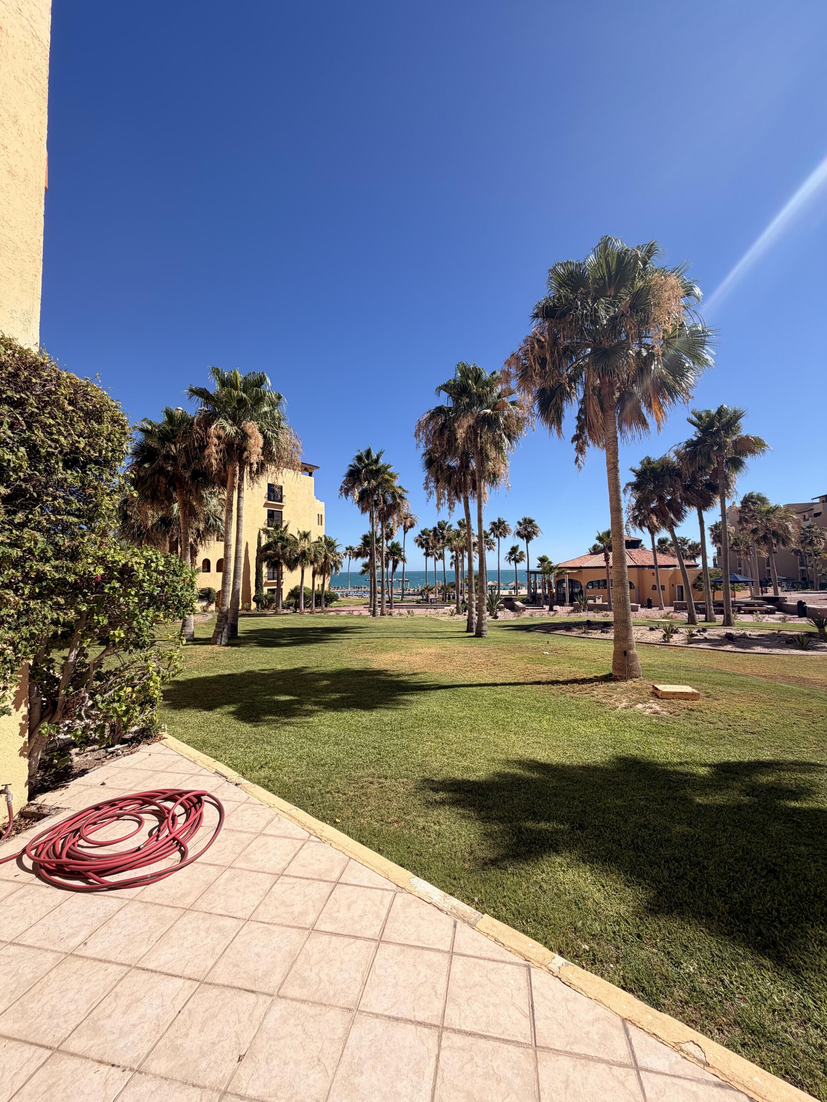 A courtyard with palm trees, a tiled walkway, and a building with a yellow facade.