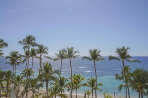 Ein Strand mit Palmen und freiem Blick auf den Ozean.