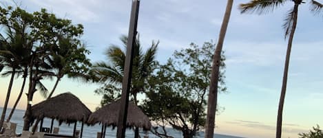 A beach with thatched umbrellas, palm trees, and lounge chairs.