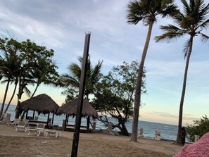 Ein Strand mit Reetdachschirmen, Palmen und Liegestühlen.