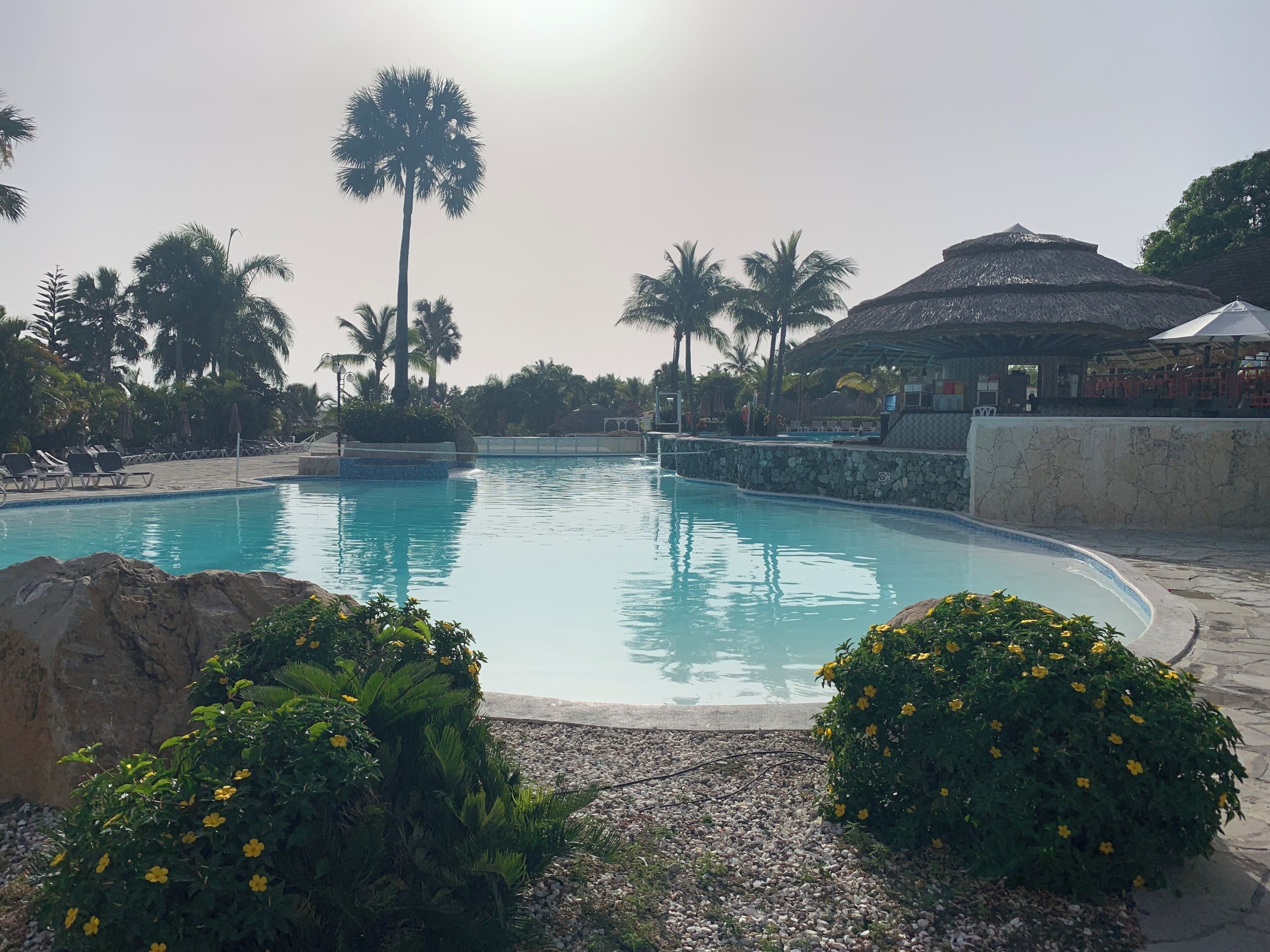 A swimming pool with lounge chairs and palm trees.